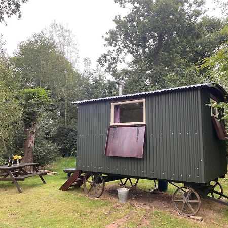 The Shepherd'S Hut - Wild Escapes Wrenbury Off Grid Glamping - Ages 12 And Over Baddiley Dış mekan fotoğraf