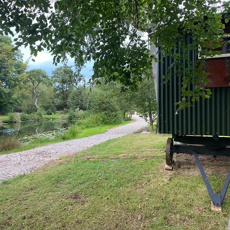 The Shepherd'S Hut - Wild Escapes Wrenbury Off Grid Glamping - Ages 12 And Over Baddiley Dış mekan fotoğraf