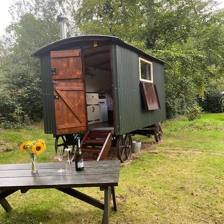 The Shepherd'S Hut - Wild Escapes Wrenbury Off Grid Glamping - Ages 12 And Over Baddiley Dış mekan fotoğraf