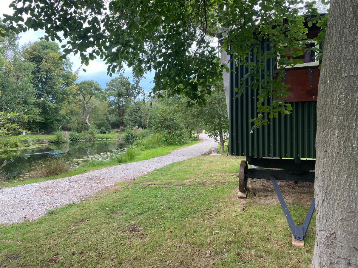The Shepherd'S Hut - Wild Escapes Wrenbury Off Grid Glamping - Ages 12 And Over Baddiley Dış mekan fotoğraf