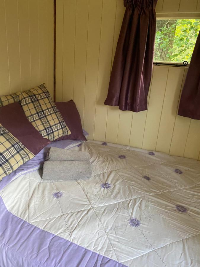 The Shepherd'S Hut - Wild Escapes Wrenbury Off Grid Glamping - Ages 12 And Over Baddiley Dış mekan fotoğraf
