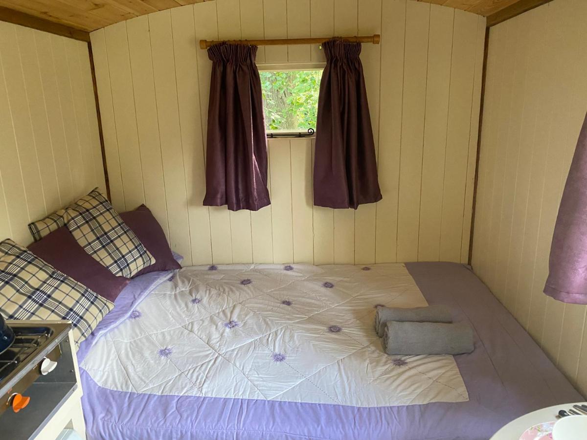 The Shepherd'S Hut - Wild Escapes Wrenbury Off Grid Glamping - Ages 12 And Over Baddiley Dış mekan fotoğraf